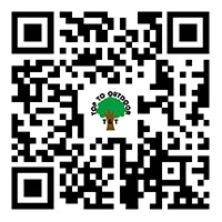 QR ကုဒ်
